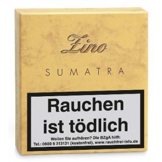 Zino Light Line Sumatra 20er