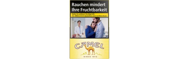 Camel
