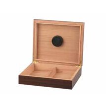 Humidor Walnut Dekor