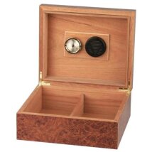 Humidor Wurzelholzdekor