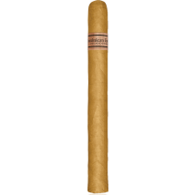 DOMINICAN ESTATES Churchill 25er