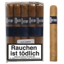 MUSTIQUE Blue Dominikanische Republik Petit Corona