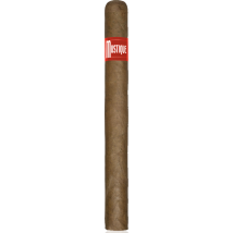 MUSTIQUE Red Churchill 10er