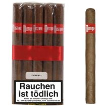 MUSTIQUE Red Churchill 10er