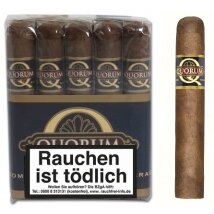 QUORUM Classic Robusto 10er