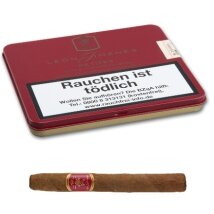 LEON JIMENES Petites Shortfiller