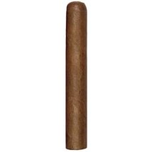 Bundle Cigars by CUSANO Dominikanische Republik Petit Corona