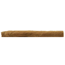 SPRACHLOS Sumatra (Treffurt)