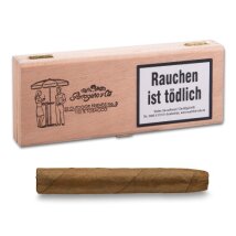 PARTAGENO No 8 Outdoor Short  Sumatra