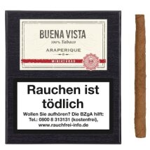 BUENA VISTA Miniaturas