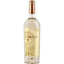 IT Asio Otus Chardonnay Souvignon 0,75l