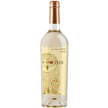 IT Asio Otus Chardonnay Souvignon 0,75l