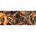 RATTRAYS Artist Collection Caribbean Dream (100 gr.)