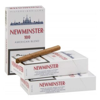 Newminster 100mm (10x17)