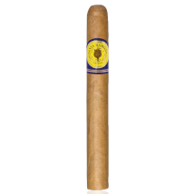 SANTA DAMIANA Classic Corona 25er