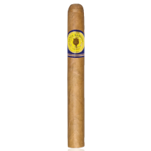 SANTA DAMIANA Classic Corona