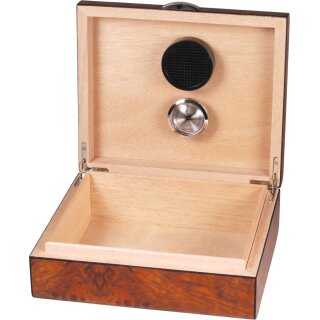 Humidor Wurzelholzdekor Ulme matt