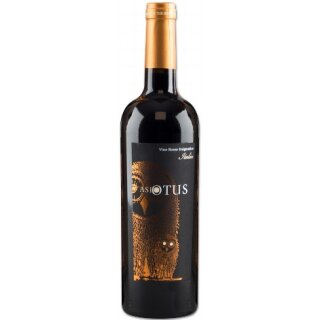 IT ASIO OTUS Cabernet Merlot Shiraz 13 % Vol.