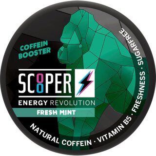 SCOOPER Energy Fresh mint 12 Stück/Dose (7 gr.)