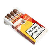 AVO Syncro Nicaragua Fogata Robusto