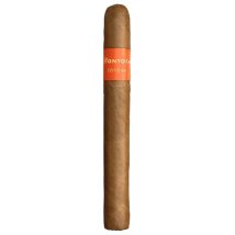 MONTOSA Corona