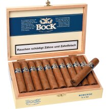 BOCK Y CA Robusto 20er