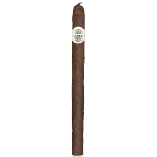 ALONSO MENENDEZ No 50