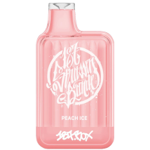 187 Einweg E-Shisha Box Vape Peach Ice 20mg