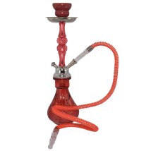 Shisha rot 1er