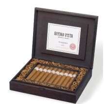 BUENA VISTA Toro 20er